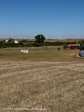 Se vende gran parcela segregada de 22.000 m² - CADIZ