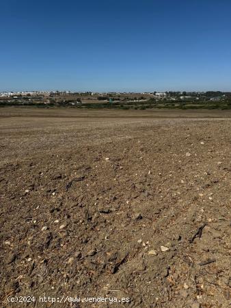 Se vende gran parcela segregada de 22.000 m² - CADIZ