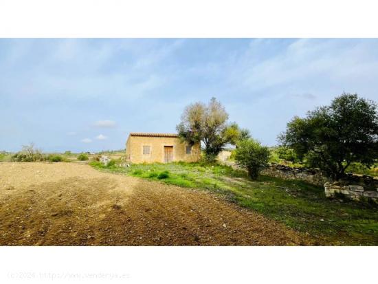  Se Vende en Maria de la Salut - BALEARES 