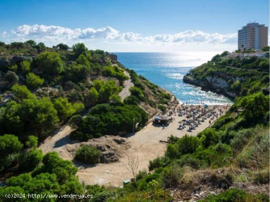 Bonito solar edificable en la mejor zona de Calas de Mallorca. - BALEARES