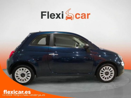 Fiat 500 Cult 1.0 Hybrid 51KW (70 CV) - València