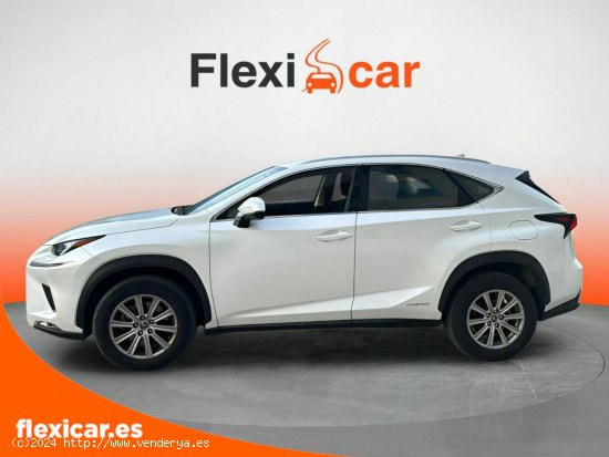 Lexus NX 2.5 300h Business 2WD - Palma Islas Baleares