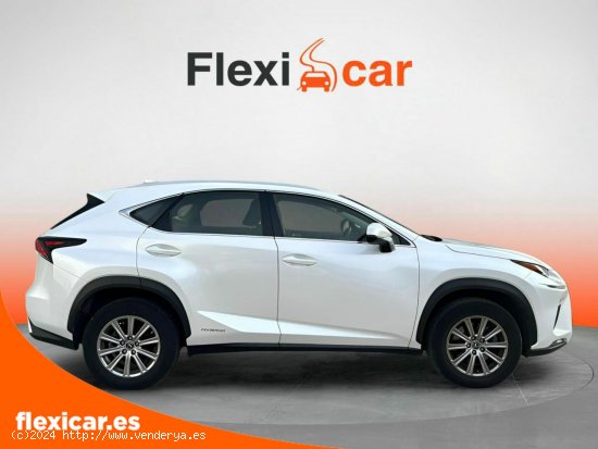 Lexus NX 2.5 300h Business 2WD - Palma Islas Baleares