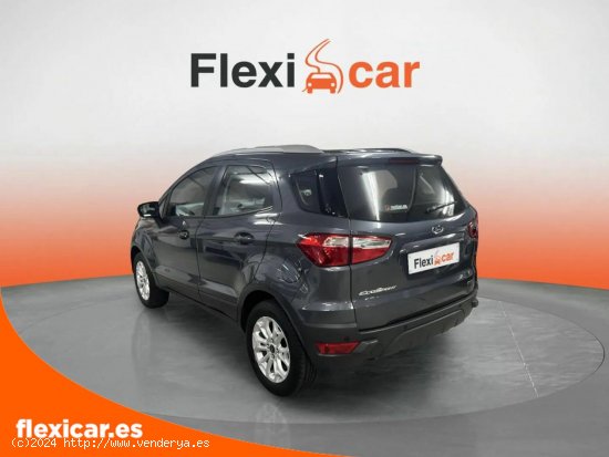 Ford Ecosport 1.0 EcoBoost 125cv Titanium S - 5 P (2017) - San Andrés de Palomar