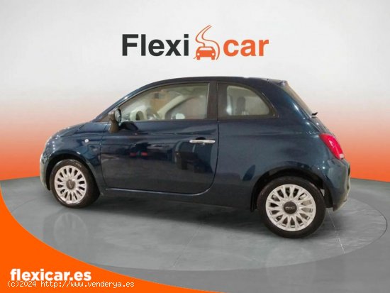 Fiat 500 Cult 1.0 Hybrid 51KW (70 CV) - València