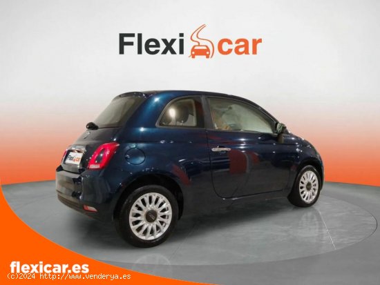 Fiat 500 Cult 1.0 Hybrid 51KW (70 CV) - València