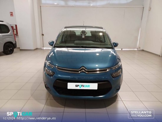 Citroën C4 Picasso  BlueHDi 120cv Live Edition - Polígono Industrial de Son Castelló