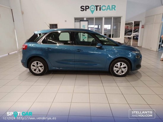 Citroën C4 Picasso  BlueHDi 120cv Live Edition - Polígono Industrial de Son Castelló