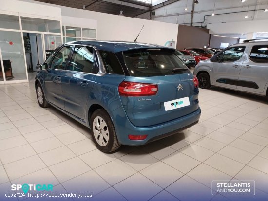 Citroën C4 Picasso  BlueHDi 120cv Live Edition - Polígono Industrial de Son Castelló