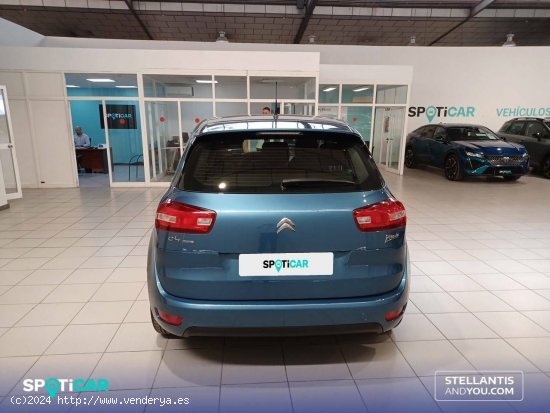 Citroën C4 Picasso  BlueHDi 120cv Live Edition - Polígono Industrial de Son Castelló