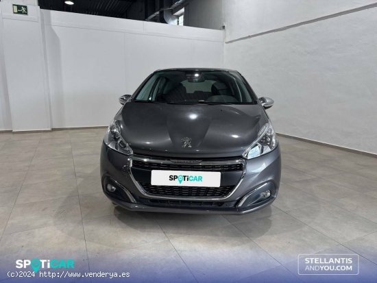 Peugeot 208  5P Tech Edit. PureTech 81KW (110CV) S&S Tech Edition - Granada