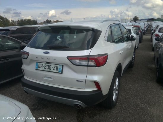 Ford Kuga Titanium 2.5 Duratec FHEV 140kW Auto - Madrid