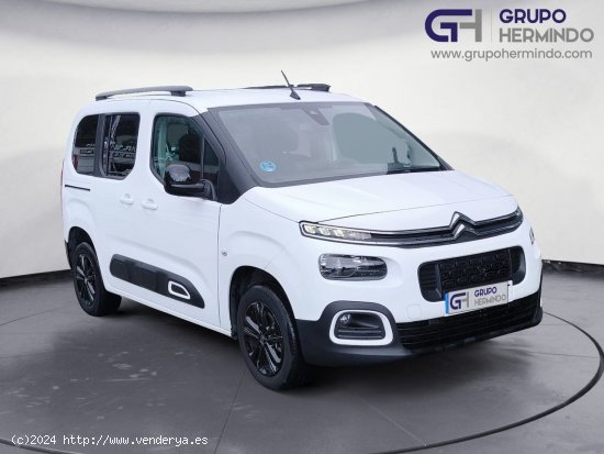 Citroën Berlingo TALLA M BLUE HDI 130 CV SHINE - Ponteareas