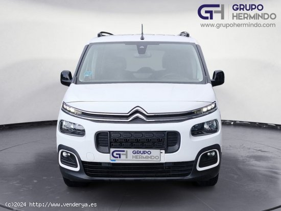 Citroën Berlingo TALLA M BLUE HDI 130 CV SHINE - Ponteareas