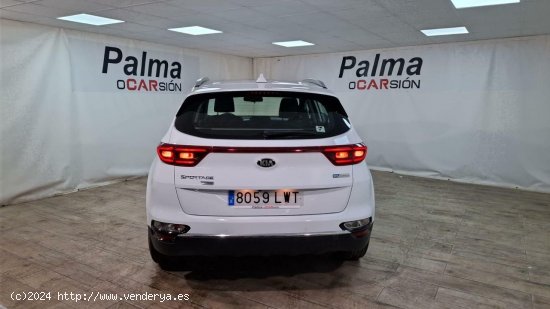 Kia Sportage BUSINESS 1.6D 136cv MHEV 4x4 - Paterna