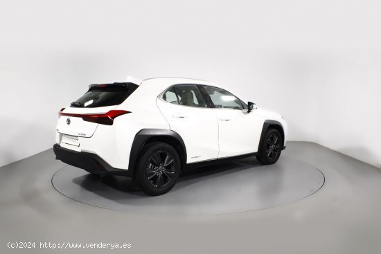 Lexus UX 2.0 250H BUSINESS AUTO 5P - 