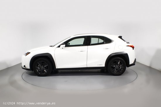 Lexus UX 2.0 250H BUSINESS AUTO 5P - 