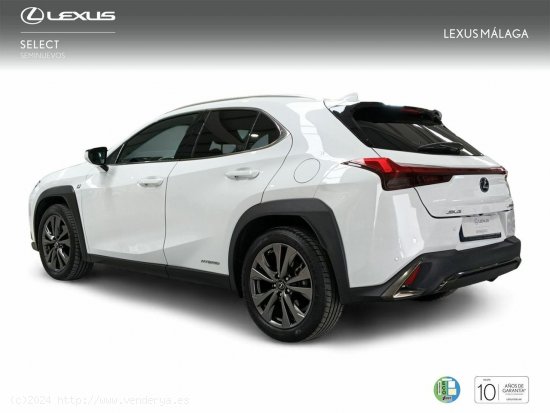 Lexus UX 2.0 250h F Sport - Málaga