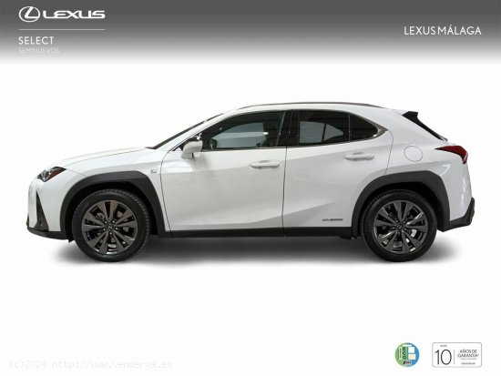 Lexus UX 2.0 250h F Sport - Málaga