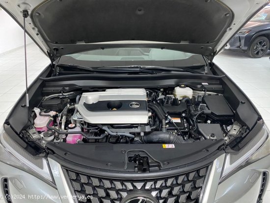 Lexus UX 2.0 250h Business - El Plantío