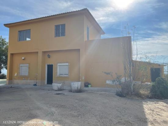  CASA CON 12.000 METROS DE PARCELA - MURCIA 