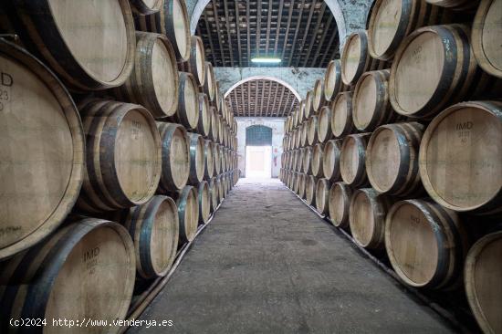  CASCO DE BODEGA JEREZANA - CADIZ 