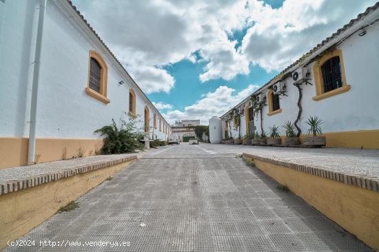 CASCO DE BODEGA JEREZANA - CADIZ