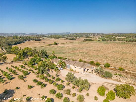 Finca rústica con licencia vacacional en Porreres - BALEARES