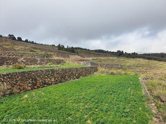  TINERCASA TE OFRECE ESTA GRAN OPORTUNIDAD DE FINCA RÚSTICA - SANTA CRUZ DE TENERIFE 