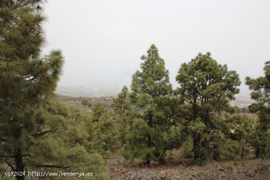 TINERCASA TE OFRECE ESTA GRAN OPORTUNIDAD DE FINCA RÚSTICA - SANTA CRUZ DE TENERIFE