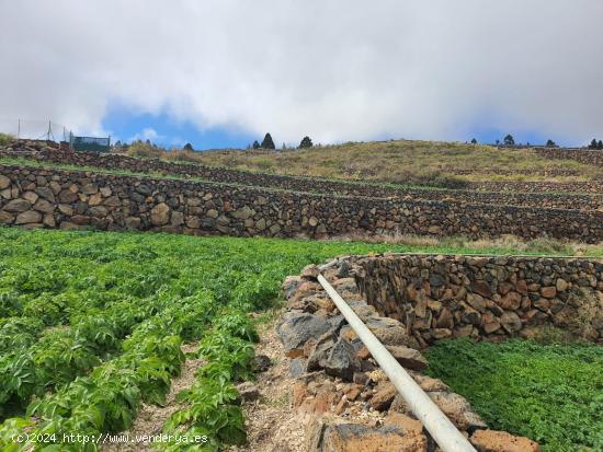 TINERCASA TE OFRECE ESTA GRAN OPORTUNIDAD DE FINCA RÚSTICA - SANTA CRUZ DE TENERIFE