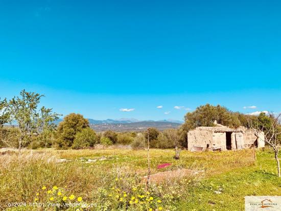  Finca Rústica Son Binissalom -  San Jordi - BALEARES 