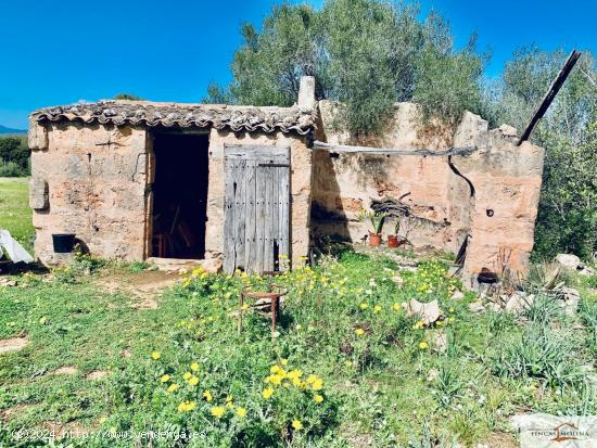 Finca Rústica Son Binissalom -  San Jordi - BALEARES