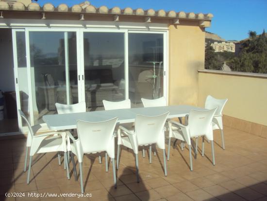  ÁTICO DE 4 HABITACIONES, 2 BAÑOS Y TERRAZA PRIVADA EN LA VILETA. - BALEARES 