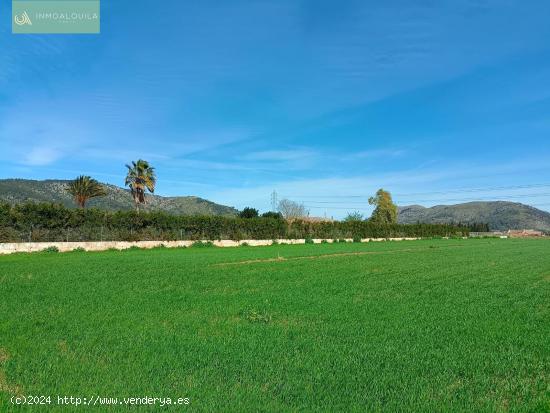 FINCA CON AGUA - BALEARES