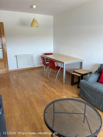 Apartamento en alquiler - TOLEDO