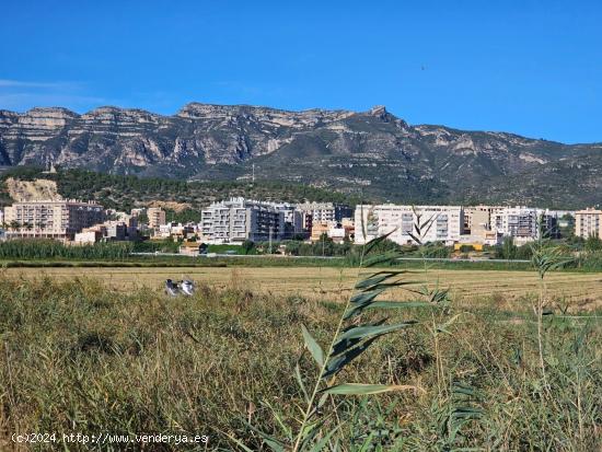  FINCA RÚSTICA EN LA RÀPITA - TARRAGONA 