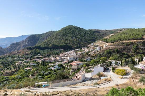  ESTUPENDA PARCELA EN CÓNCHAR - GRANADA 