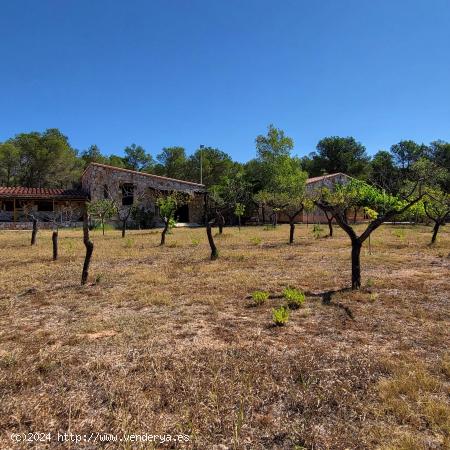  Magnífica Finca de 25.270 m2, con vivienda unifamiliar, de 192 m2 construidos - TARRAGONA 