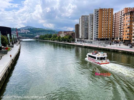  Se Alquila amplia vivienda de 3 dormitorios y 2 baños en Zona Deusto - VIZCAYA 