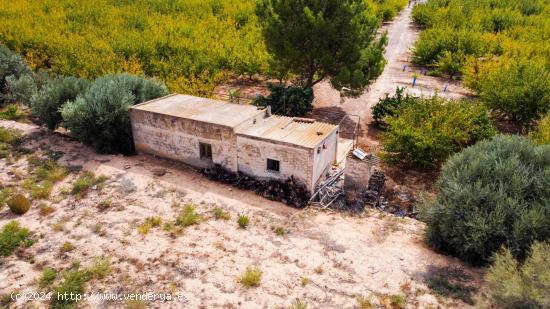 CASA + TERRENO EN PRODUCCIÓN EN LA SERRANA - MURCIA