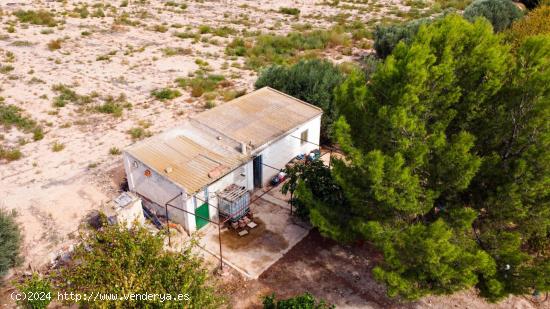 CASA + TERRENO EN PRODUCCIÓN EN LA SERRANA - MURCIA