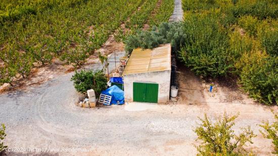 CASA + TERRENO EN PRODUCCIÓN EN LA SERRANA - MURCIA