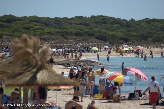 Mallorca, Sa Rapità, Es Trenc, magníficos pisos nuevos, de lujo, de diseño y eco-responsables. - 