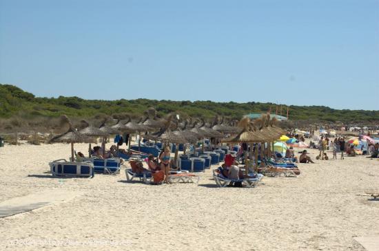 Mallorca, Sa Rapità, Es Trenc, magníficos pisos nuevos, de lujo, de diseño y eco-responsables. - 