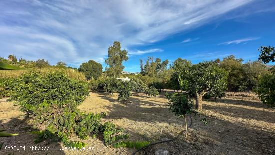  FINCA EN ALHAURÍN EL GRANDE. MÁLAGA - MALAGA 