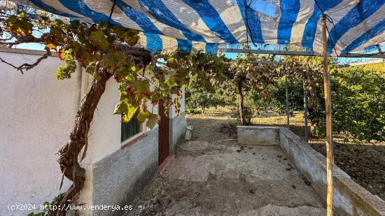 FINCA EN ALHAURÍN EL GRANDE. MÁLAGA - MALAGA