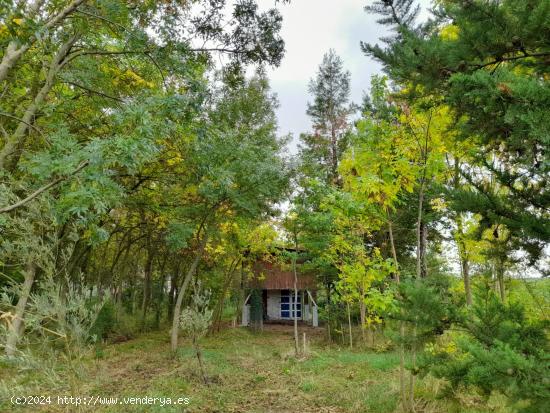 Finca Rustica en Marcilla - NAVARRA