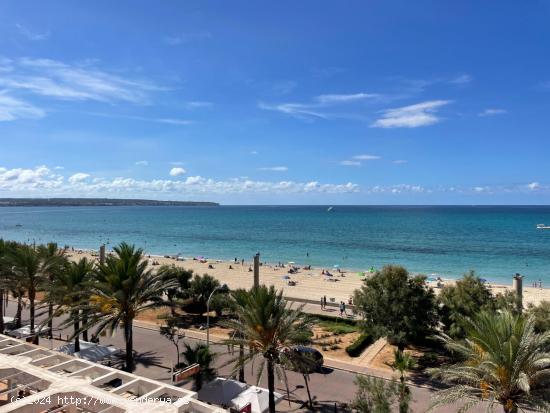 Alquiler de piso en primera línea de mar en Las Maravillas, Palma - BALEARES