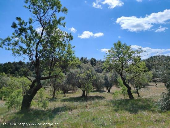 Se Vende en La Fresneda - TERUEL